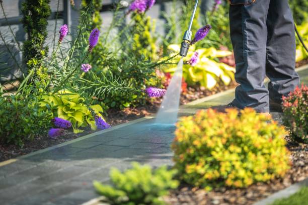 Best Dumpster Area Cleaning  in Lucerne Valley, CA